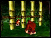 une photo d'Ã©cran de Donkey Kong 64 sur Nintendo 64